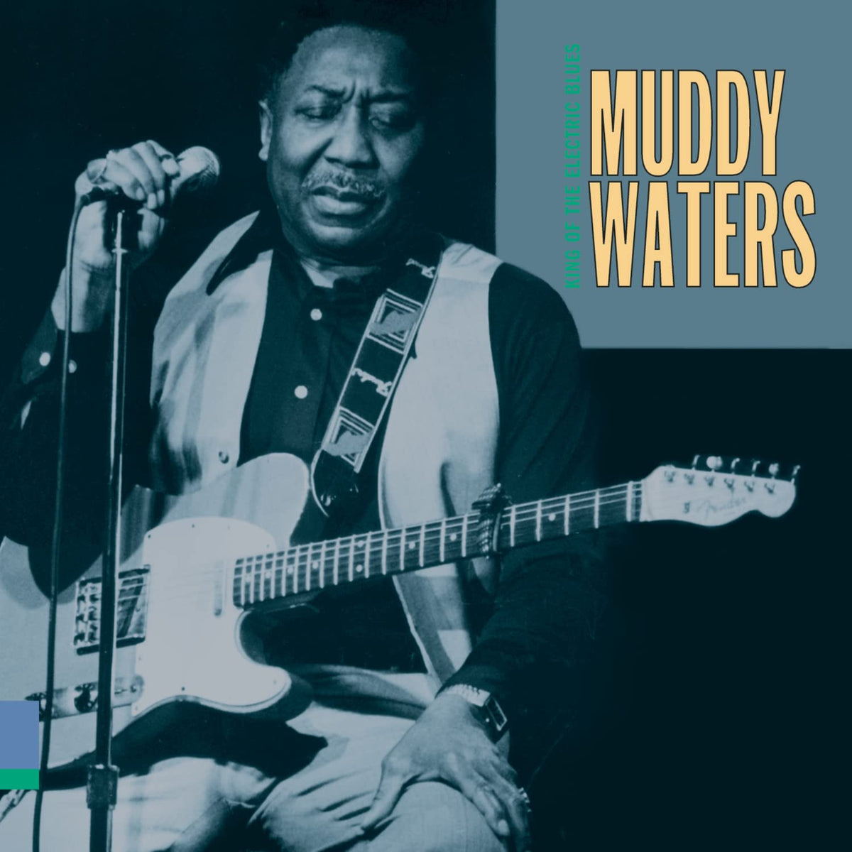 Muddy Waters - King Of The Electric Blues - CD
